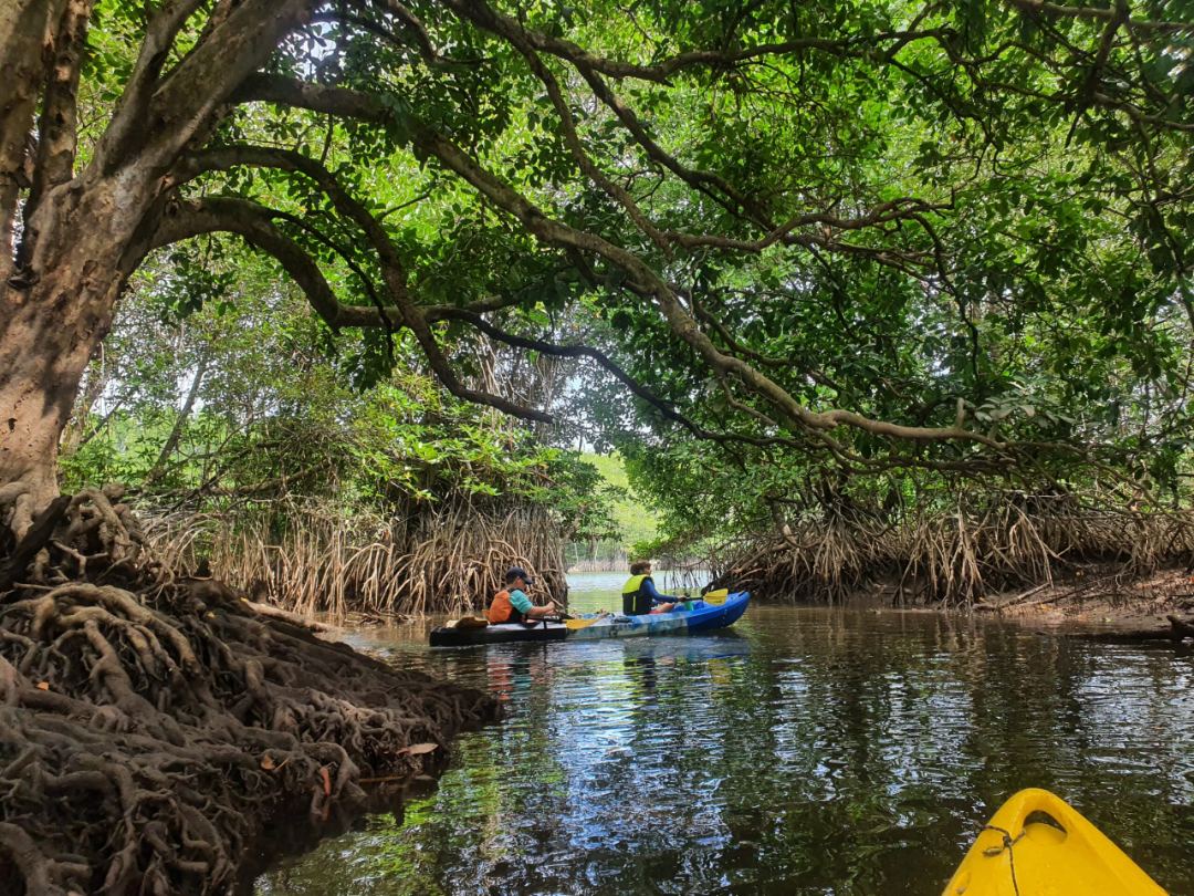 Kayaking adventure