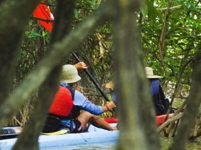 Ecotourism in Malaysia provides education